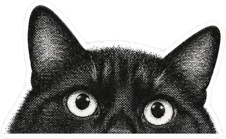 Illustration of a black cat peeking over the edge